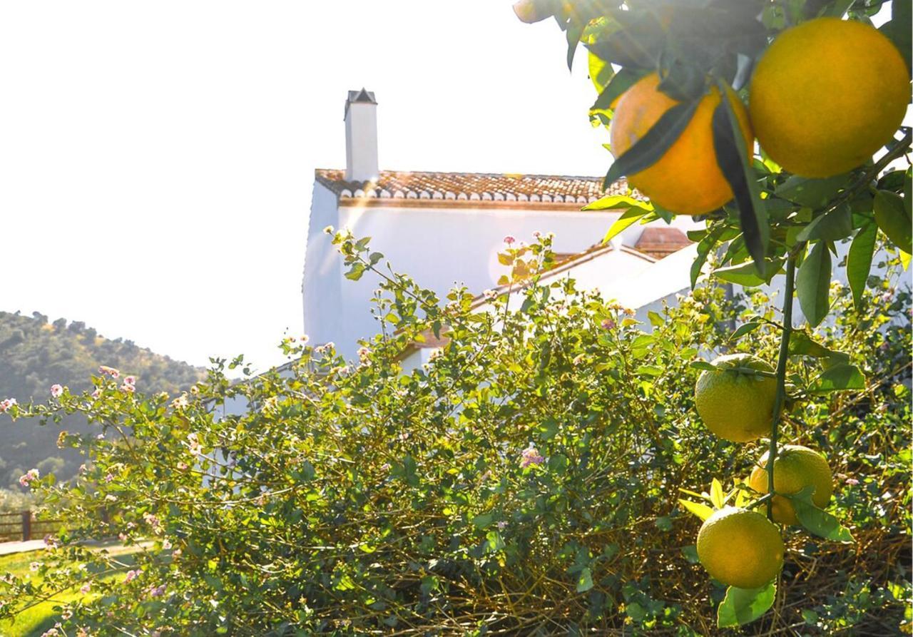 Cortijo Las Caballerias Alora Buitenkant foto