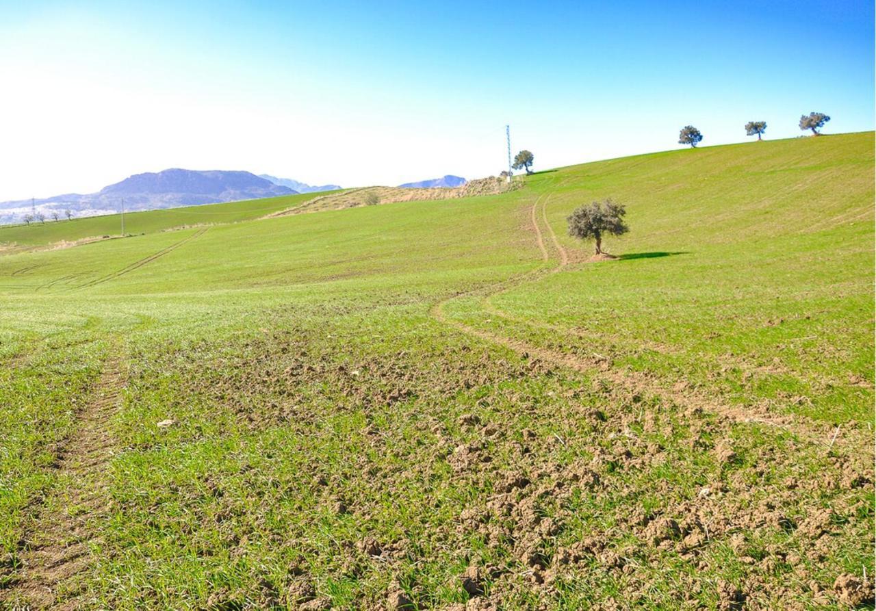 Cortijo Las Caballerias Alora Buitenkant foto